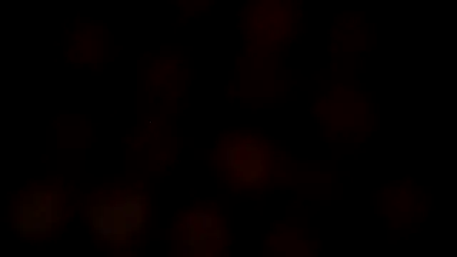 leatherz69 online show from February 27, 2025, 7:12 am