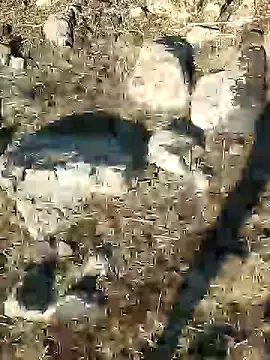 Snapshot of murokkk31 chatting on December 21, 2024, 8:39 am murokkk31 online show from December 21, 2024, 8:39 am