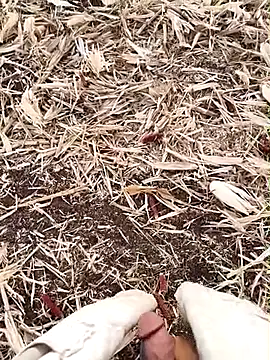 Snapshot of murokkk31 chatting on September 15, 2025, 2:55 am murokkk31 online show from September 15, 2025, 2:55 am