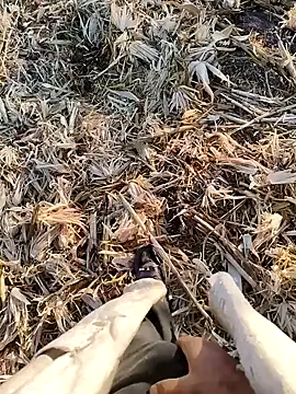 Snapshot of murokkk31 chatting on September 22, 2025, 4:03 am murokkk31 online show from September 22, 2025, 4:03 am