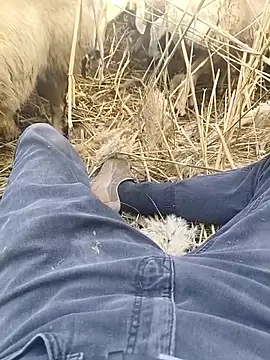 Snapshot of murokkk31 chatting on October 29, 2025, 9:33 am murokkk31 online show from October 29, 2025, 9:33 am