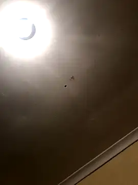 Snapshot of SmallGoodNut chatting on November 15, 2025, 4:10 am SmallGoodNut online show from November 15, 2025, 4:10 am