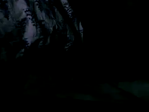 WHITEDAROSE online show from February 19, 2025, 10:01 am