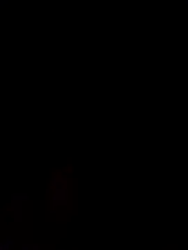 Alanagracia online show from February 14, 2025, 11:31 am