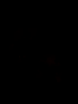 Snapshot of Ory22 chatting on November 1, 2025, 4:42 pm Ory22 online show from November 1, 2025, 4:42 pm