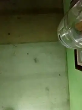 Alonsomadeira online show from December 17, 2025, 6:08 am