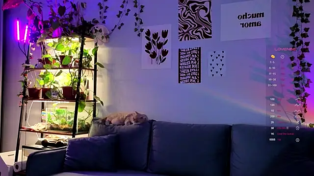 Your Corvus online show from December 5, 2025, 9:51 am