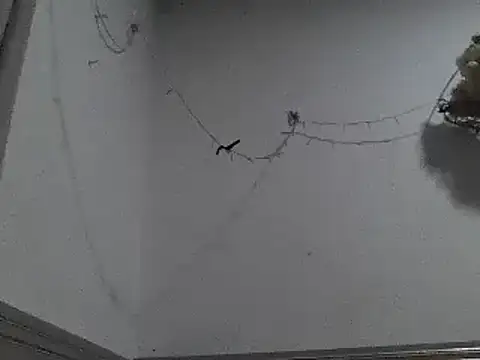 Snapshot of pedrodavid_ chatting on December 8, 2024, 12:18 am pedrodavid online show from December 8, 2024, 12:18 am