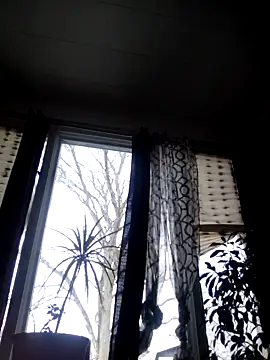 Snapshot of otterlover123 chatting on December 5, 2024, 6:55 pm otterlover123 online show from December 5, 2024, 6:55 pm