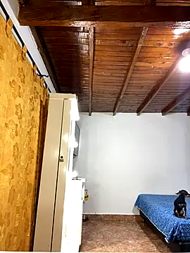 Snapshot of Zaratattoox chatting on December 1, 2025, 9:53 pm Zaratattoox online show from December 1, 2025, 9:53 pm