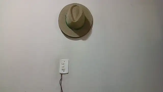 RenziTatte online show from October 28, 2025, 11:25 am