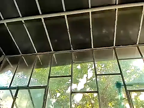 Snapshot of Milky_hairy_mommy chatting on September 15, 2025, 1:00 pm Milky hairy mommy online show from September 15, 2025, 1:00 pm