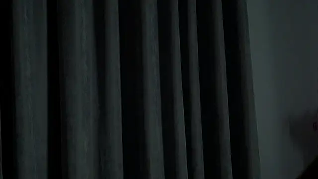 Snapshot of LowOncoming chatting on February 11, 2025, 1:20 am LowOncoming online show from February 11, 2025, 1:20 am