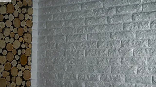 Snapshot of LowOncoming chatting on December 1, 2025, 2:05 am LowOncoming online show from December 1, 2025, 2:05 am