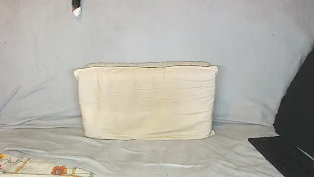 Snapshot of qustci-couple chatting on October 21, 2025, 9:43 am qustci-couple online show from October 21, 2025, 9:43 am