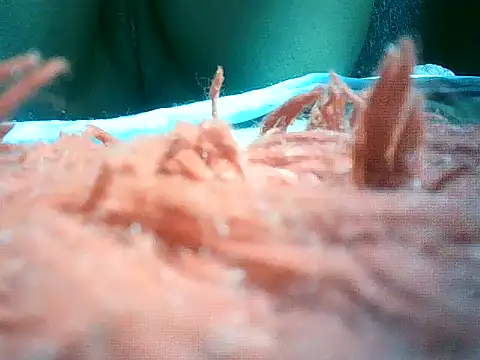 mumbi91 online show from January 10, 2025, 10:57 pm