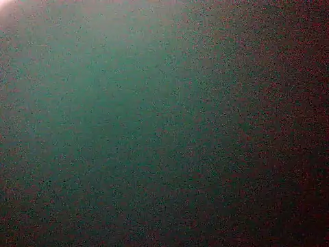 mumbi91 online show from January 11, 2025, 1:59 am