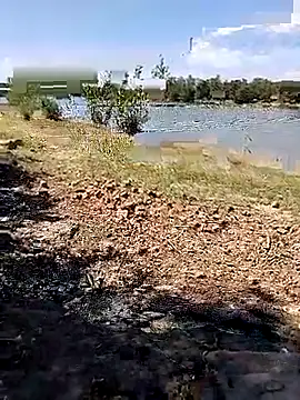 Snapshot of BaseDick chatting on September 24, 2025, 10:07 am BaseDick online show from September 24, 2025, 10:07 am