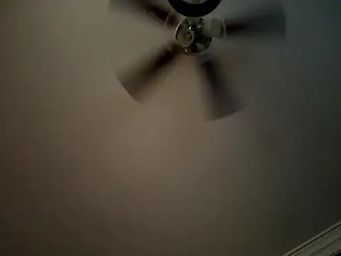 ThicBunz online show from September 9, 2025, 2:49 pm