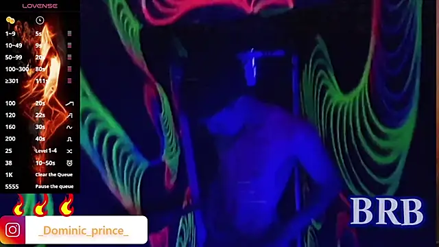 DominicPrince online show from November 11, 2025, 11:38 pm