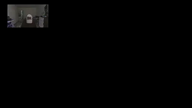 Snapshot of horfet chatting on September 24, 2025, 5:49 pm horfet online show from September 24, 2025, 5:49 pm
