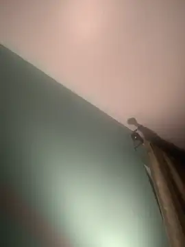 Snapshot of longhairjim chatting on February 9, 2025, 7:49 am longhairjim online show from February 9, 2025, 7:49 am