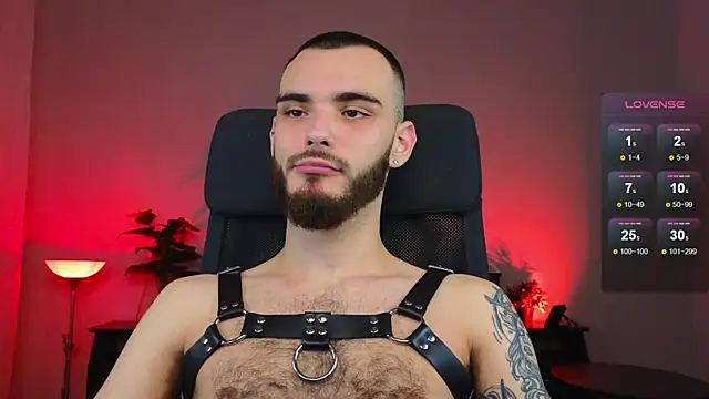 xteddy bear online show from January 17, 2025, 8:33 pm