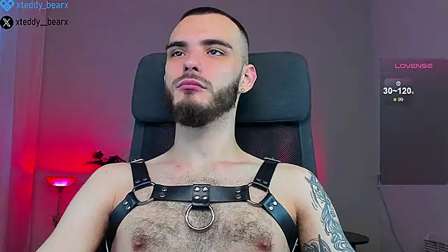 xteddy bear online show from January 18, 2025, 9:24 am