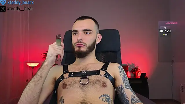 xteddy bear online show from January 20, 2025, 6:42 am