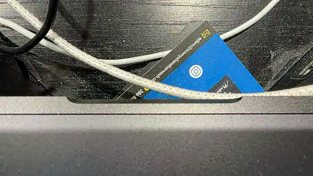 TinyTraps online show from December 17, 2024, 2:11 pm