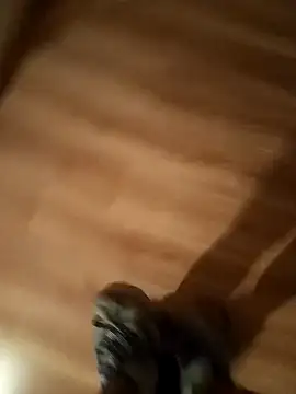 pana1978loco online show from November 29, 2025, 6:49 am