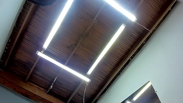 Snapshot of esteban_cor chatting on January 22, 2025, 6:42 am esteban cor online show from January 22, 2025, 6:42 am