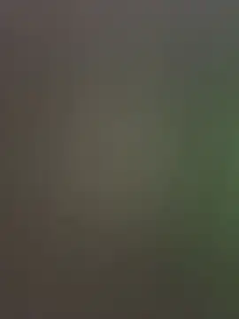 palomamoraid online show from December 20, 2024, 11:26 pm