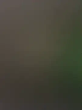 palomamoraid online show from December 27, 2024, 1:50 pm