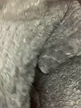 cardibabe online show from October 5, 2025, 10:40 pm