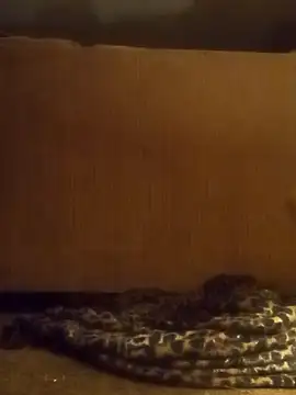 luke thighwalker2469 online show from February 8, 2025, 1:11 pm