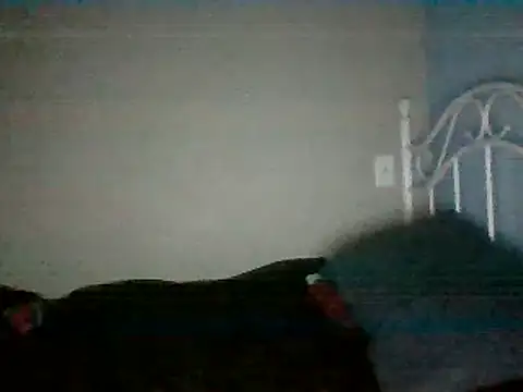 Snapshot of SmokingSloth chatting on March 16, 2025, 5:14 am SmokingSloth online show from March 16, 2025, 5:14 am