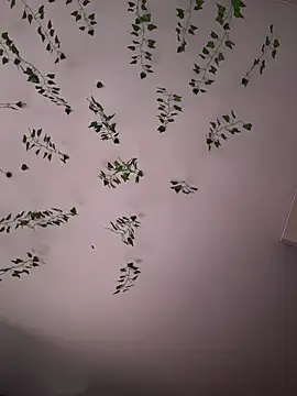 -Sexy Barbie- online show from November 5, 2025, 2:11 am