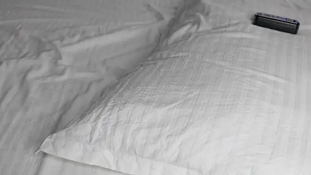 Snapshot of celestara chatting on December 20, 2024, 12:05 pm celestara online show from December 20, 2024, 12:05 pm