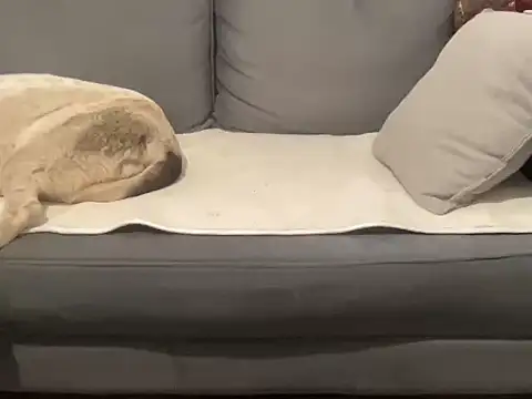 4small4inchlol online show from September 17, 2025, 9:00 am