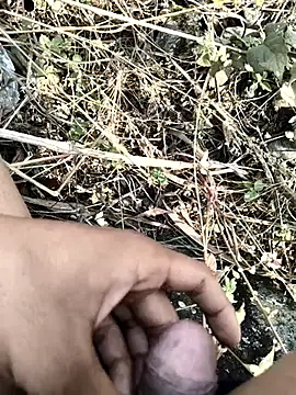 royalrohan3245 online show from November 20, 2025, 4:56 am