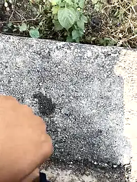 royalrohan3245 online show from November 21, 2025, 4:00 am