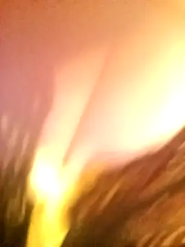 JAWHARA  online show from December 14, 2025, 10:03 pm