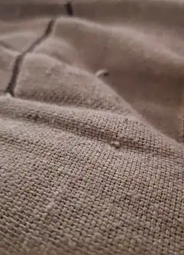 iaparna online show from December 9, 2024, 5:07 am