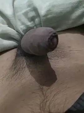 iaparna online show from January 9, 2025, 5:54 pm