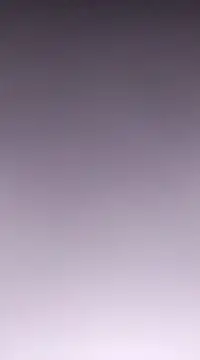 Linda Lars online show from February 11, 2025, 7:33 am