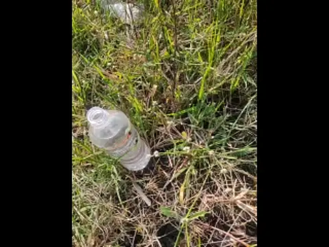 boy BeardGallery online show from November 10, 2025, 9:52 am