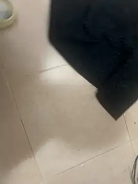 manu97pot online show from December 22, 2025, 7:33 pm