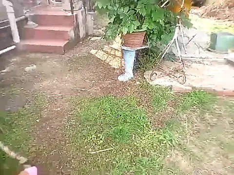 bustybillies online show from October 11, 2025, 3:54 pm