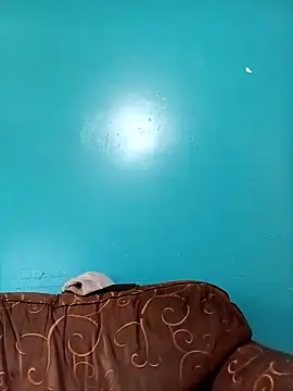 Snapshot of TUMORENO1 chatting on September 8, 2025, 8:41 pm TUMORENO1 online show from September 8, 2025, 8:41 pm